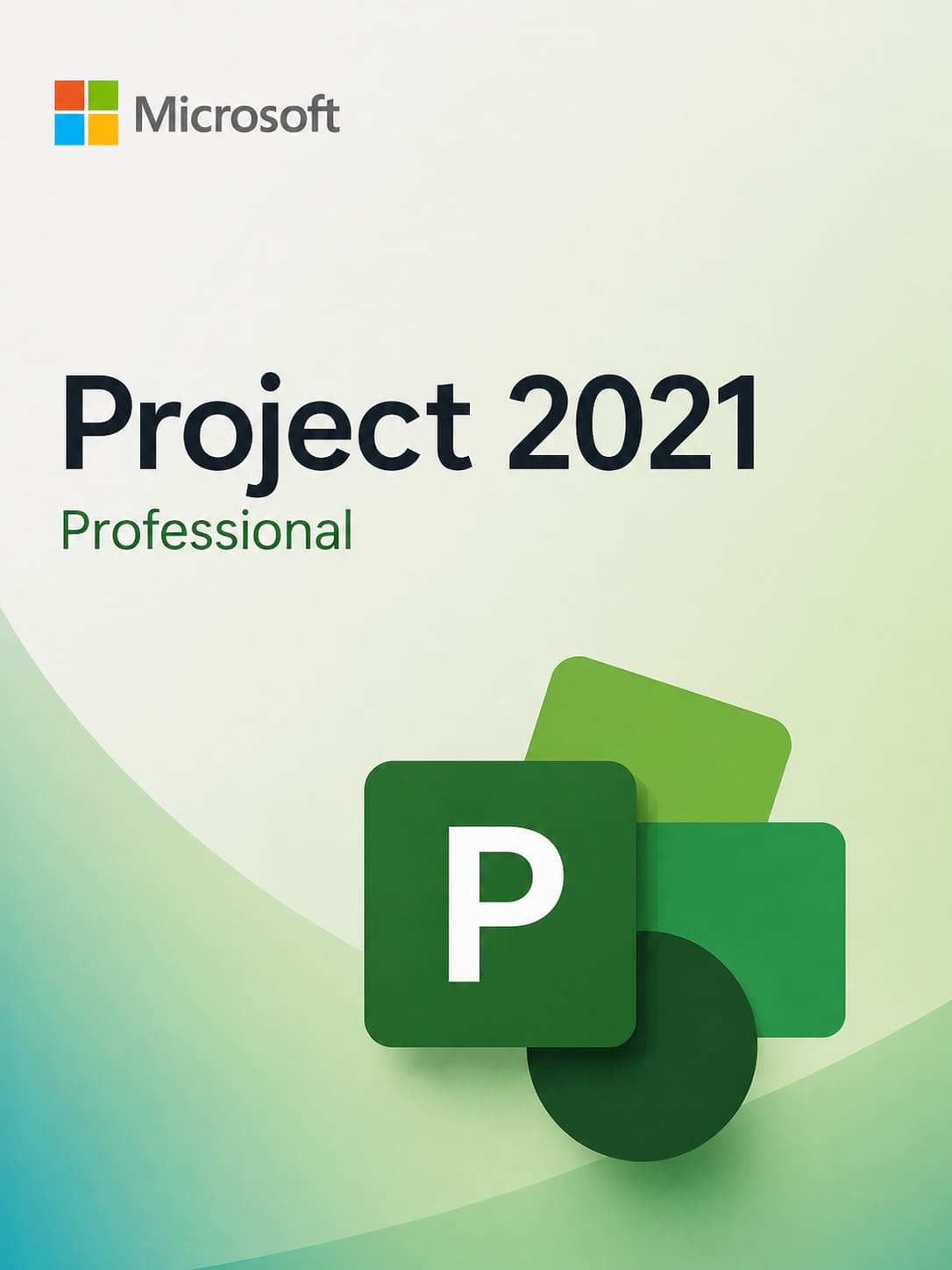 Microsoft Project Professional 2021