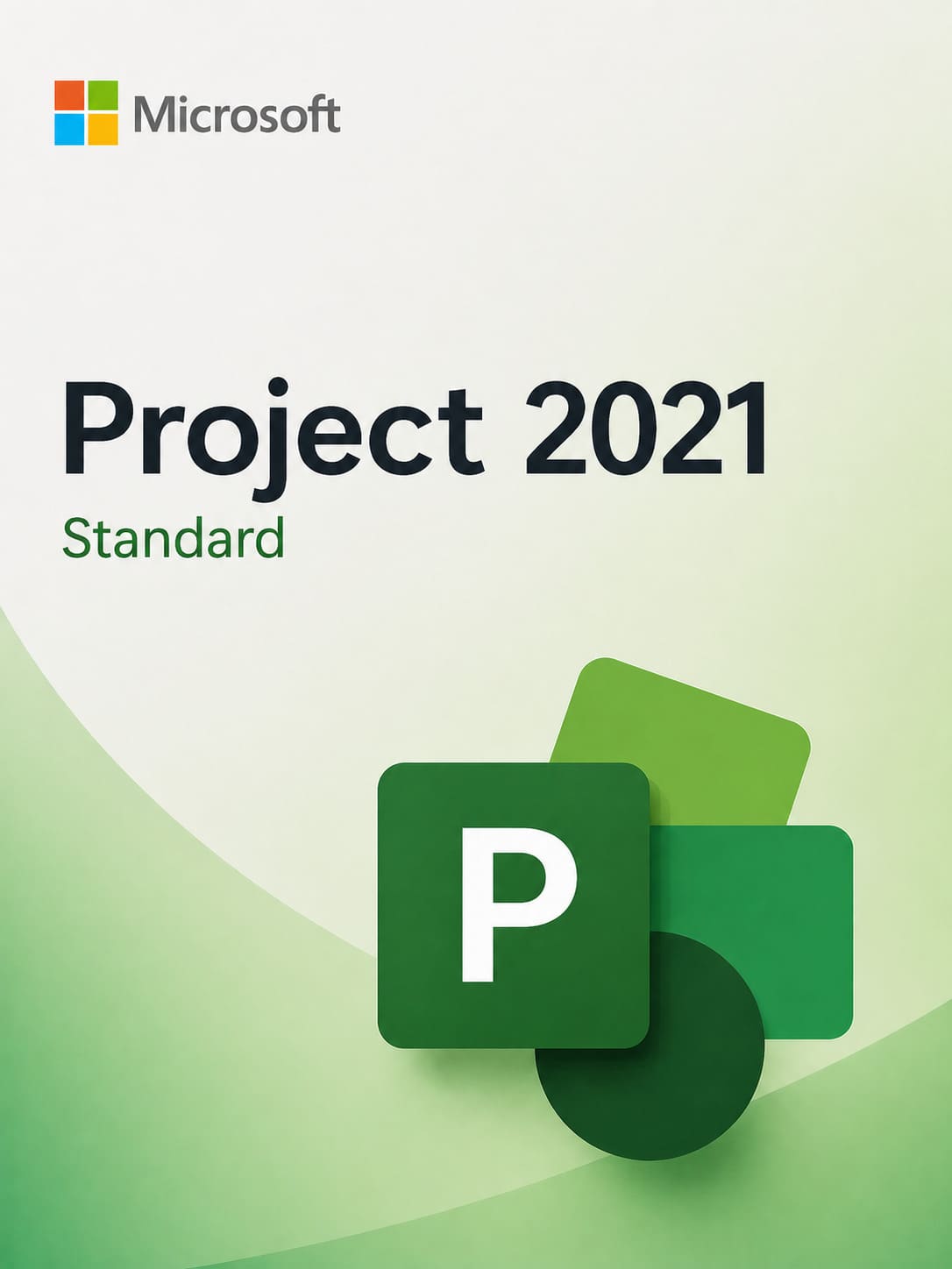 Microsoft Project Standard 2021