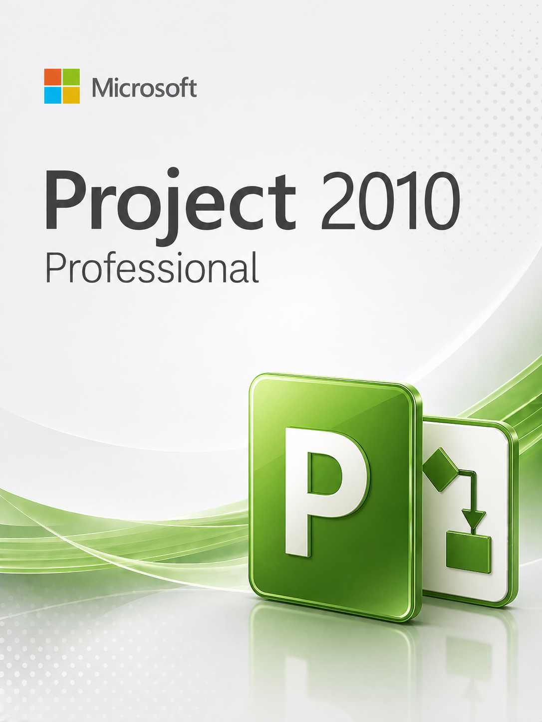 Microsoft Project Professional 2010