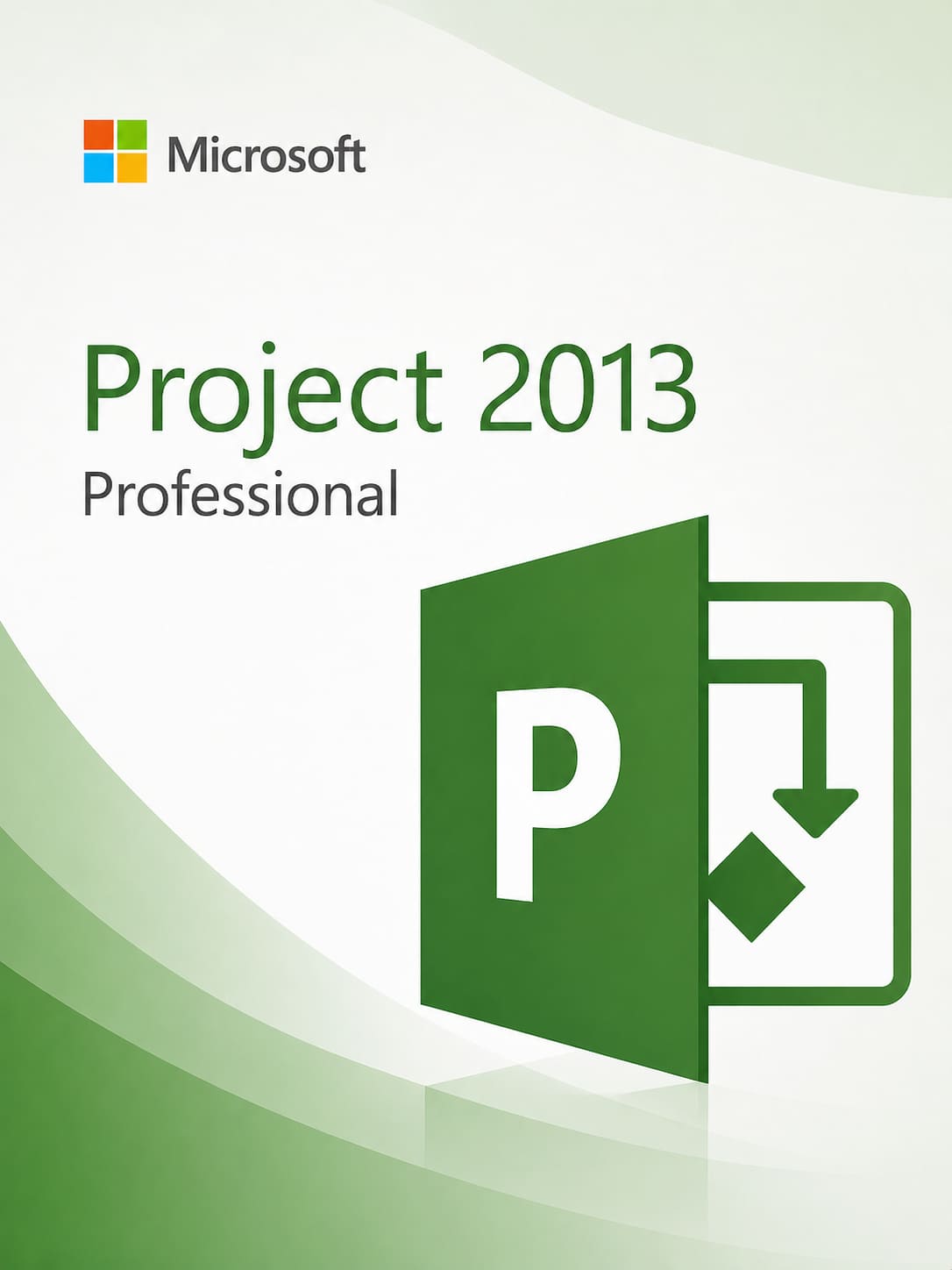 Microsoft Project Professional 2013
